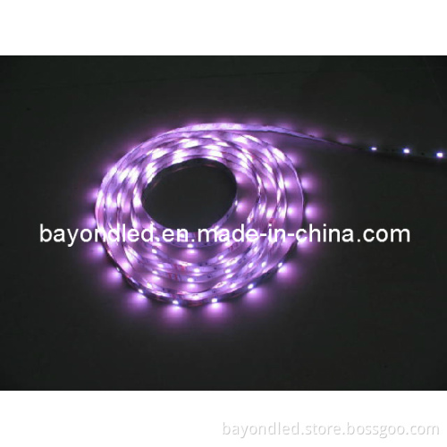 High Brightness DC12V LED Strip Waterproof LED Strip Light